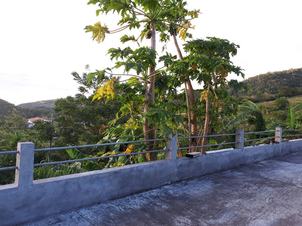 Refuge De Joel Bed & Breakfast Case-Pilote Luaran gambar